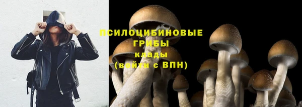 дмт Беломорск