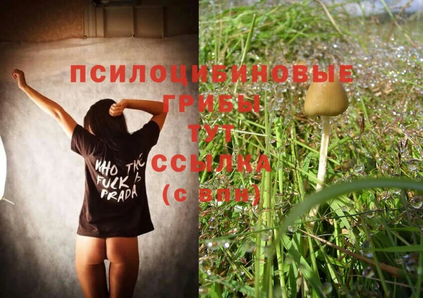 дмт Беломорск