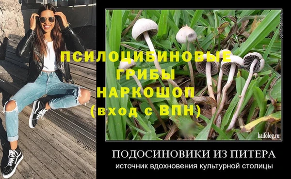 Альфа ПВП Белокуриха