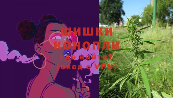 Альфа ПВП Белокуриха