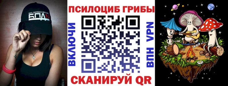 блэк спрут tor Власиха Псилоцибиновые грибы мицелий